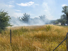 EINSATZ „B2 Vegetationsbrand"