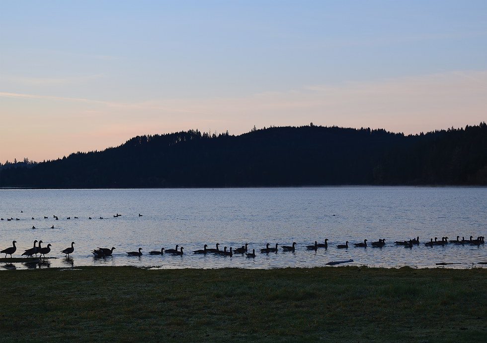 edit1sunriseonlake.png