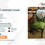 Thumbnail: Lovy Comfort Chair (Pre Order)