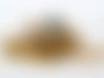 תכנון פנסיוני