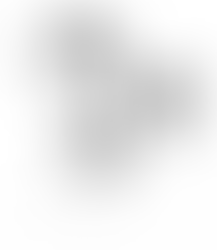 Lunedì 17 gennaio 2021