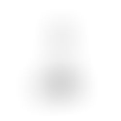 Lunedì 15 novembre 2011