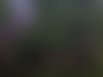 Lunedì 03 gennaio 2022