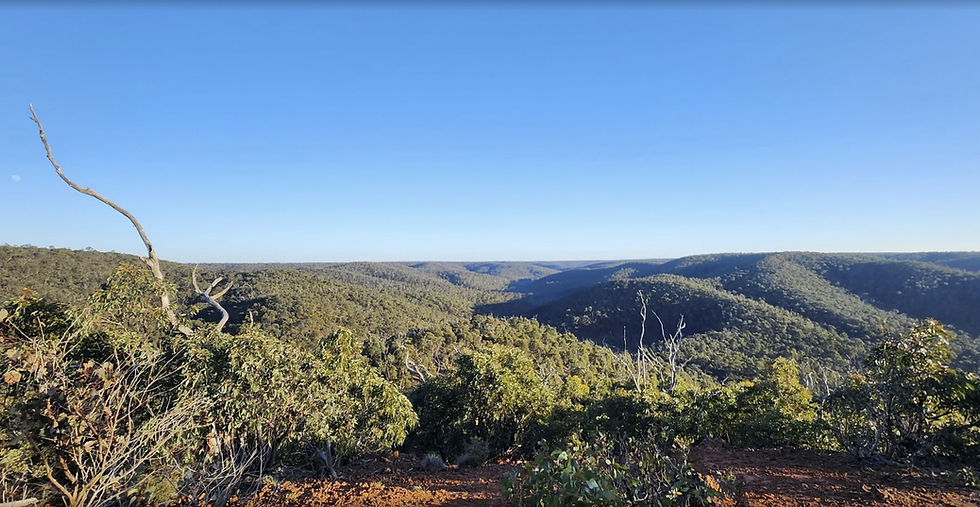 Brisbane Ranges N.P. - Ted Errey Nature Circuit + Stony Creek Dam