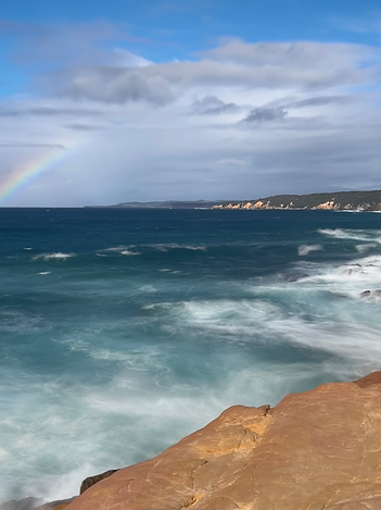 Watch out for seals off the Blue Pool Coast at Bermagui