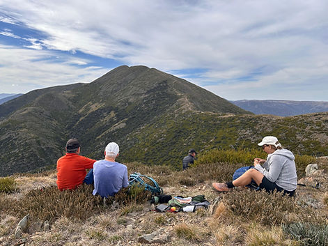 Little Feathertop Razorback Track