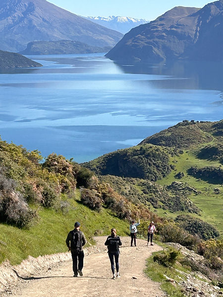 The instagram favourite Roy's Peak hike near Wanaka NZ