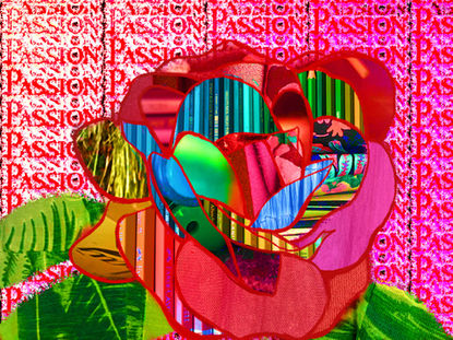 Rose of Passion- 2022