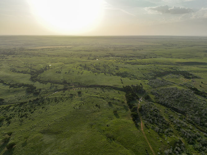 PANO0015.jpg