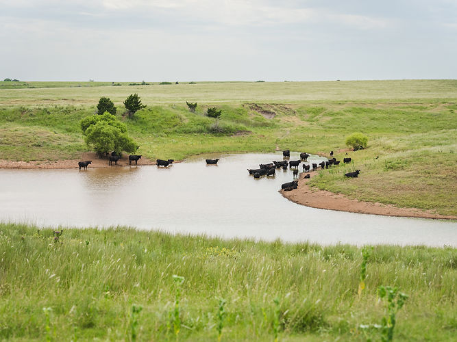BMS09506.jpg