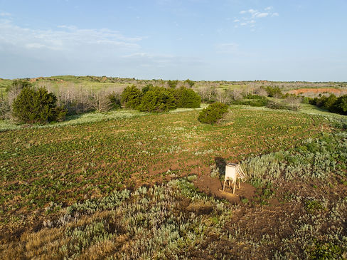 DJI_0204.jpg