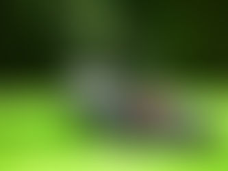 Итоги лета. Al-Ko.