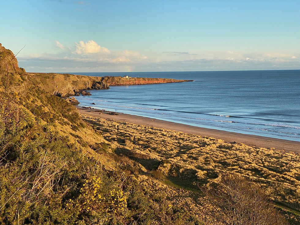 Poetry Fundamentals - A Seven-Week Course Taught by the North Sea Poets
