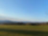 IMG_7933.jpeg
