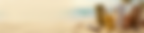 Banner 4.png