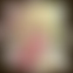 カレー屋さん「チャパティ」