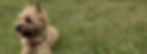 Copy of 1_edited_edited.jpg