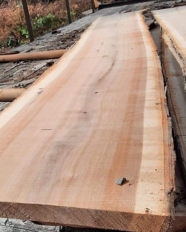 slabs 8.jpg