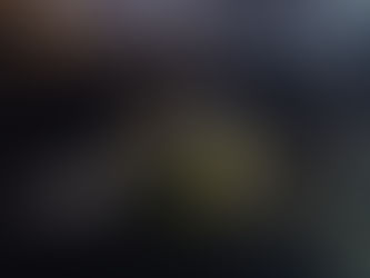 Everything You Need to Know About Snorkeling in Waikiki