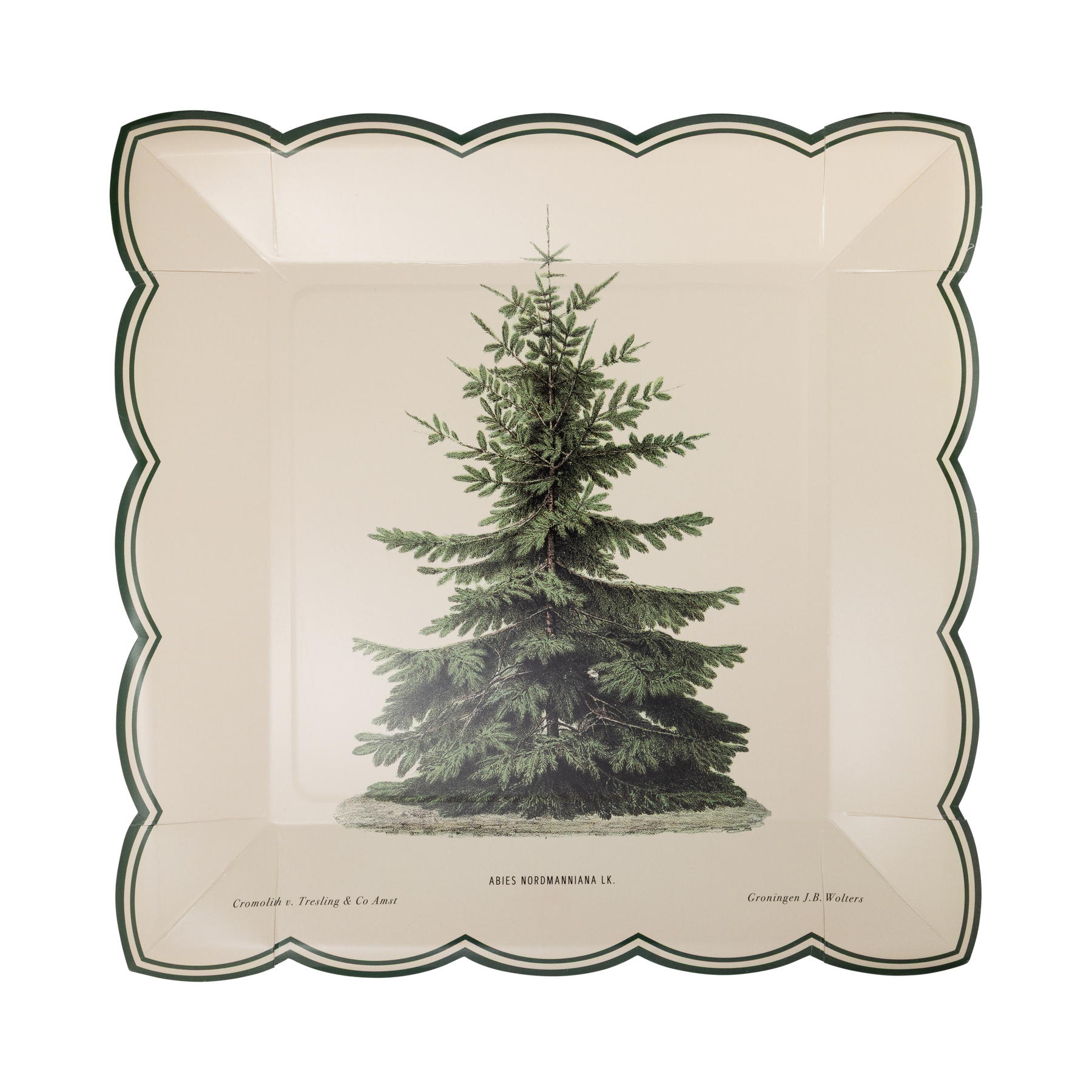 Vintage Tree Plate
