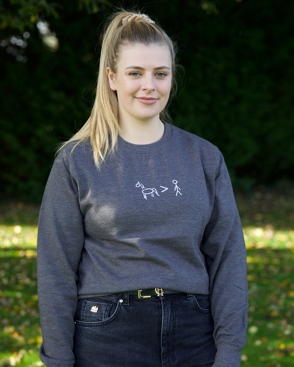 Thumbnail: Ponies > People Sweatshirt