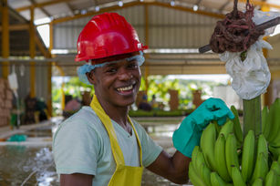 Bananas - Louis Isma, Asociacion de Trabajadores Banafem.jpeg