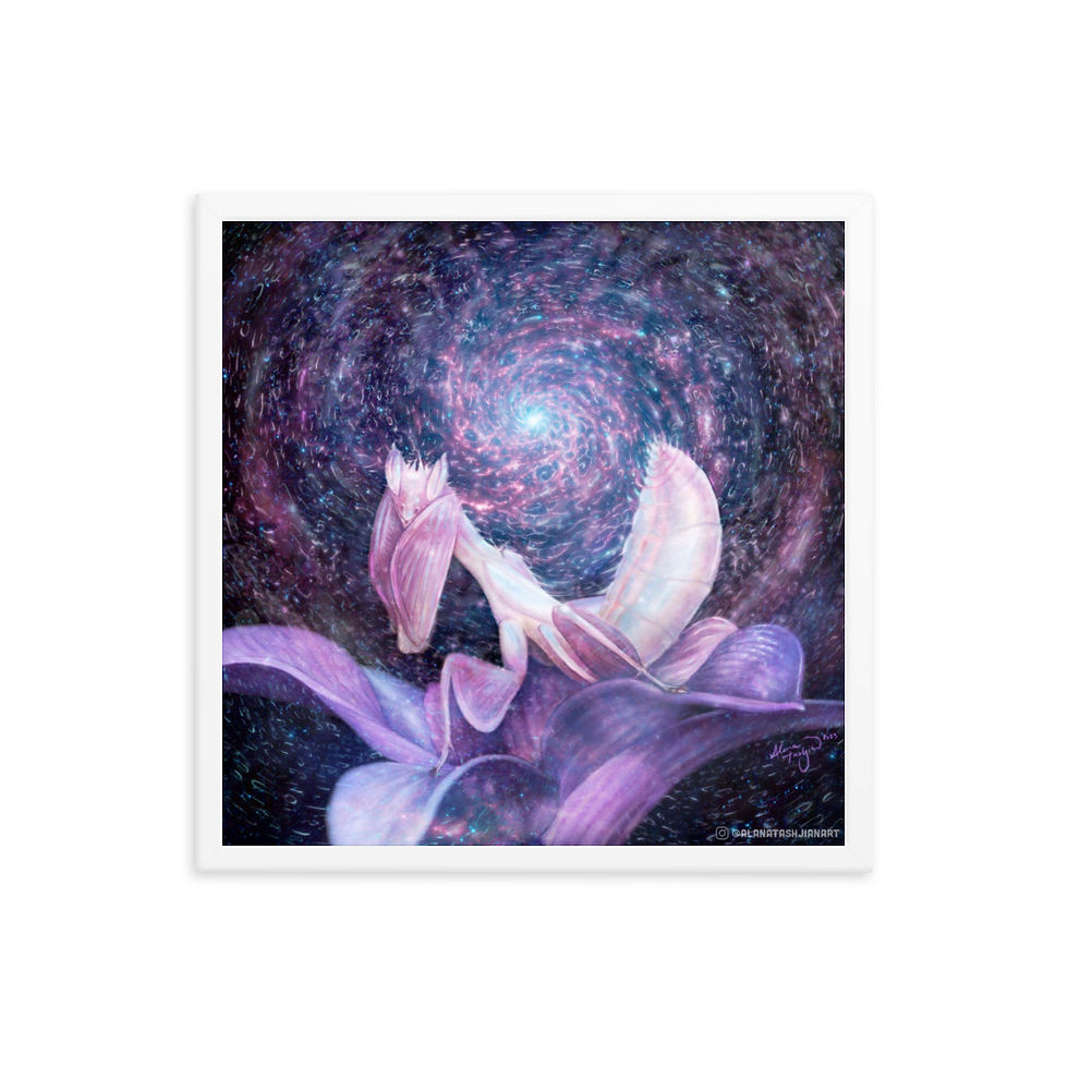 Thumbnail: Mantiverse Framed Print