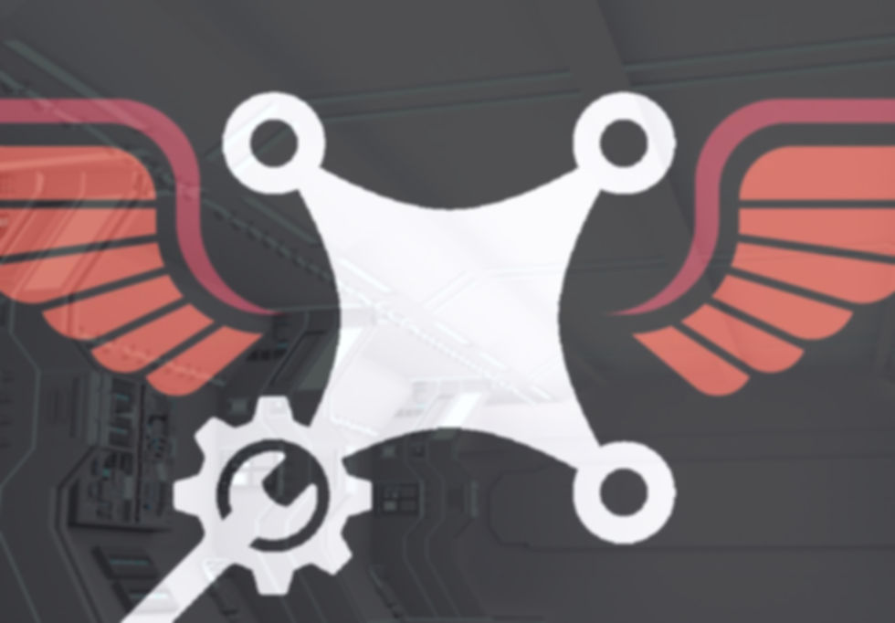 Pilot-training-patch-final_edited.jpg