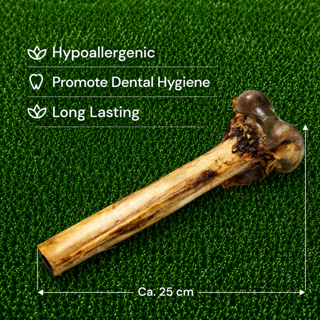 Ostrich Bone