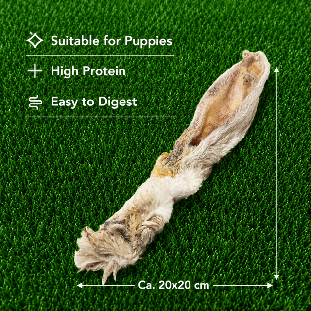Hairy Rabbit Ears