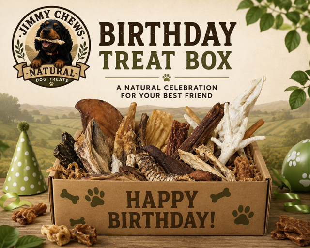 Birthday Treat Box