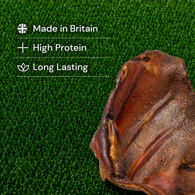 Pigs Ears