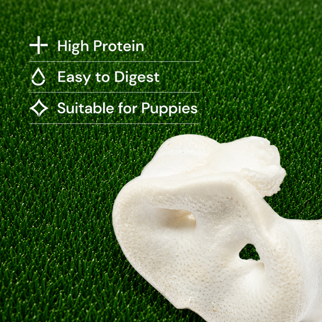 5 Puffed Pig Snouts
