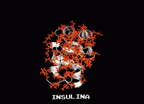 insulina.gif