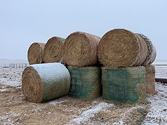 Super HAY & FORAGE AUCTION