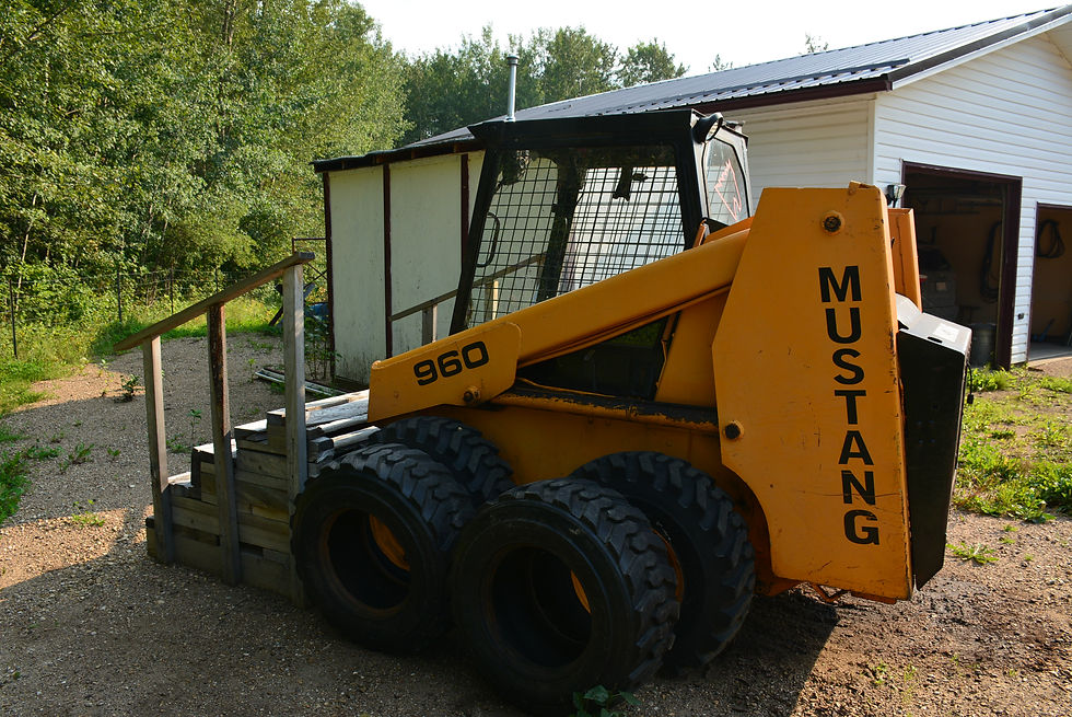 DSC_4396.JPG