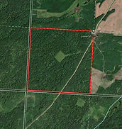 Government of Alberta - Farm Grazing Licenses - PUBLIC AUCTION (Multiple Municipalities, AB)