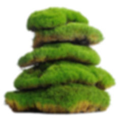 AdobeStock_212776772.jpeg