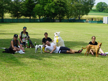 5. Rally-Obedience Turnier am 10.06.2018 in Knittlingen