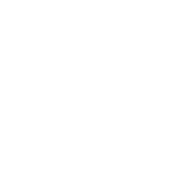 target (1).png