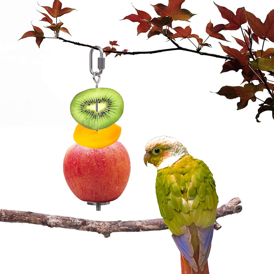 Bird Food Holder with fruit on it, Stainless Steel Parrot Hanging Stick Feeder, 2 Pcs