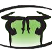 Decal Gymnastics logo