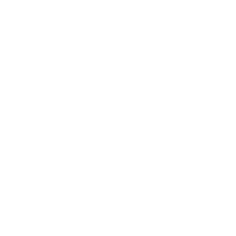 BW 100px.png