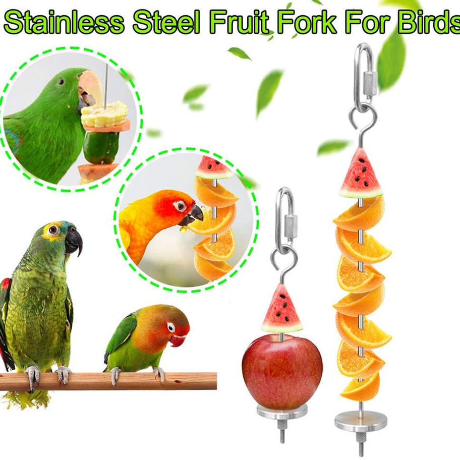 Bird Food Holder with fruit on it, Stainless Steel Parrot Hanging Stick Feeder, 2 Pcs