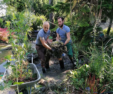 Schaufel für Schaufel und Wurzelballen für Wurzelballen der manuelle Aushub