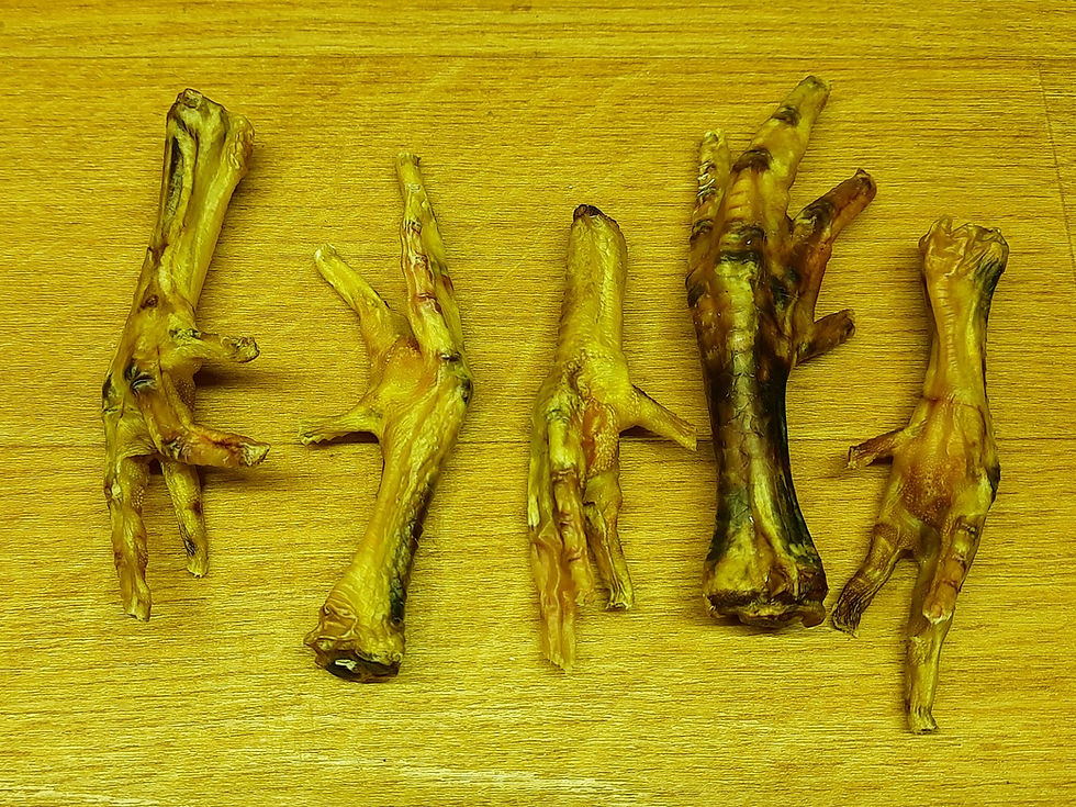 SHOP ALL DogHouse Deli