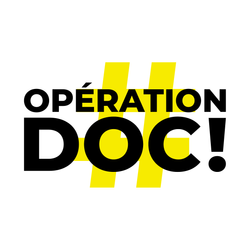 LOGO SANS BASELINE RVB