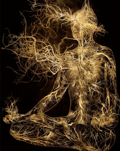 Aura Energy Pic.png