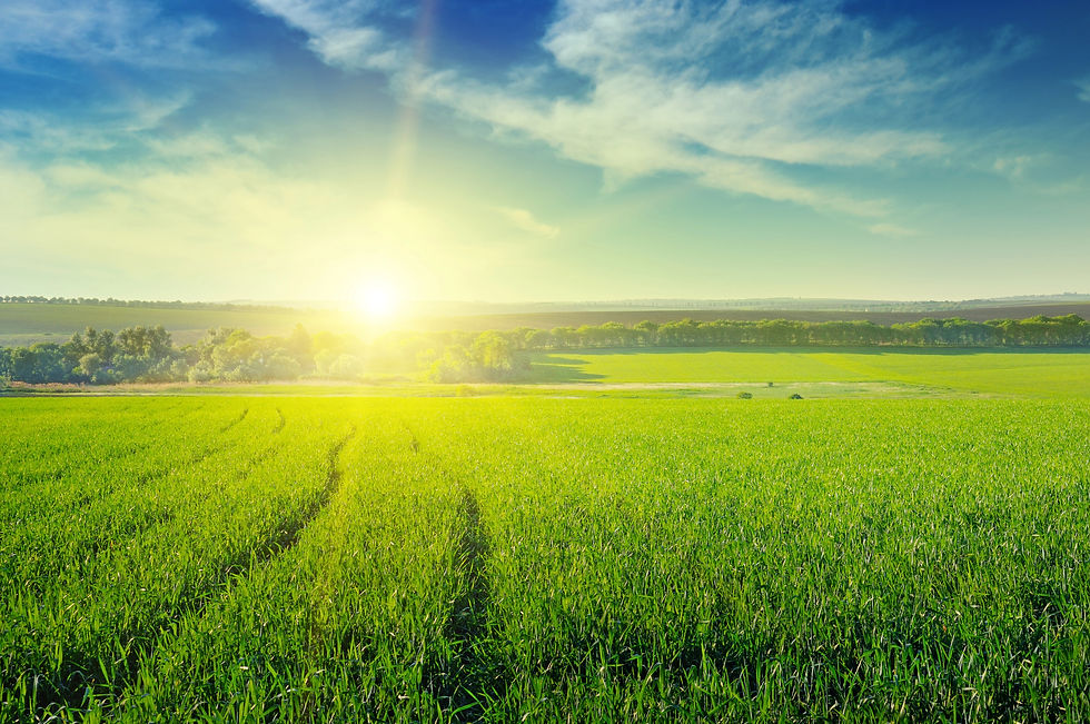 Depositphotos_40448327_XL (1).jpg