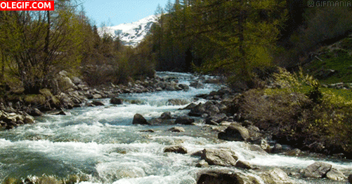 ba477c38bb9e5207e262e20af2b324e9.gif